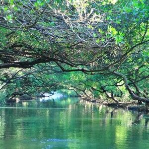 Meet your Posher, Katy